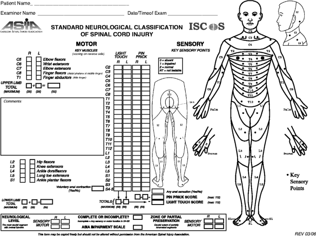 spine-asia_scale